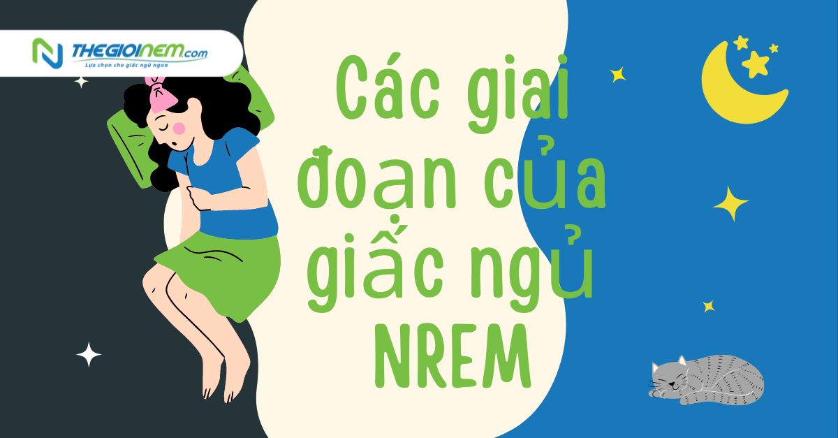Tìm hiểu về giấc ngủ REM và NREM, vai trò của giấc ngủ REM và NREM