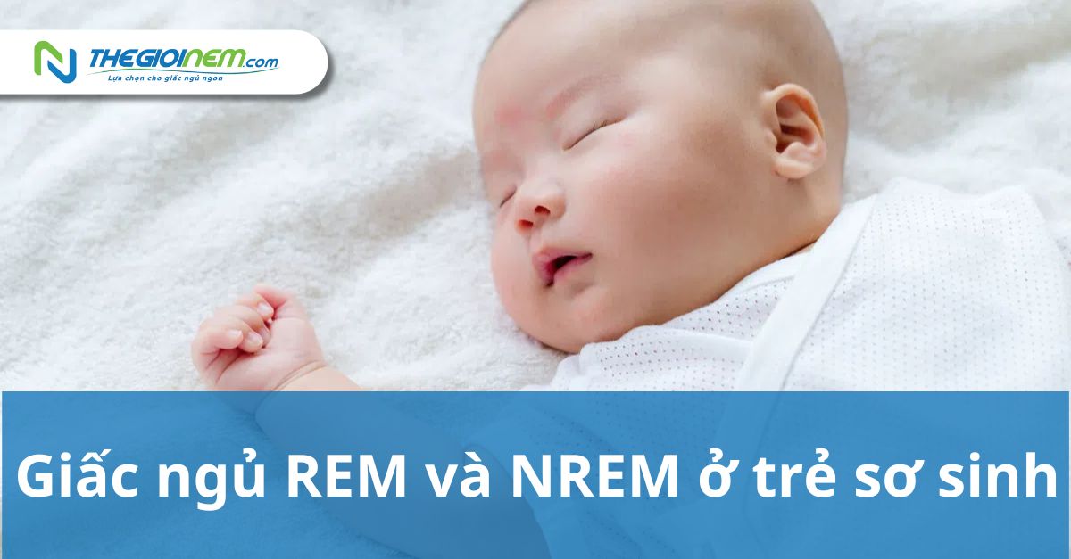 Tìm hiểu về giấc ngủ REM và NREM, vai trò của giấc ngủ REM và NREM