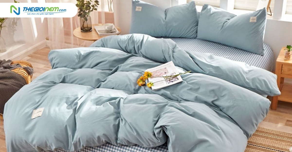 Màu ga giường hợp mệnh Thủy là màu gì?