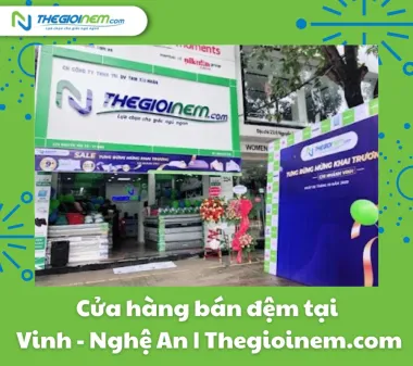 Cửa hàng bán đệm tại Vinh - Nghệ An | Thegioinem.com