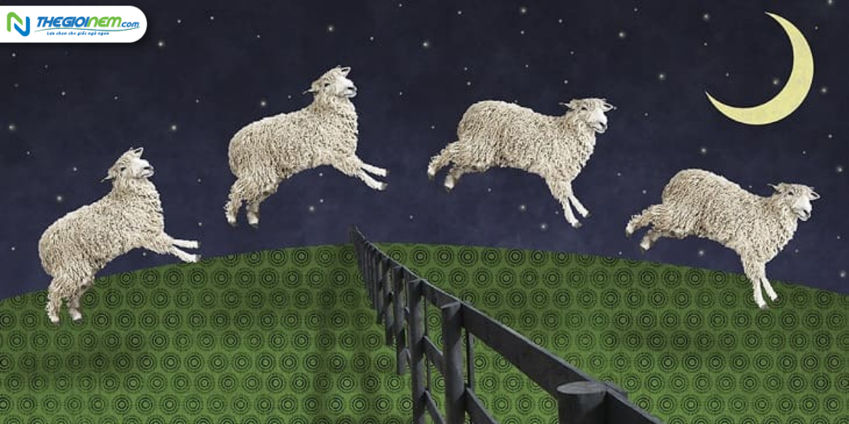 Phương pháp đếm cừu là cách giúp bạn dễ chìm vào giấc ngủ nhanh hay không?