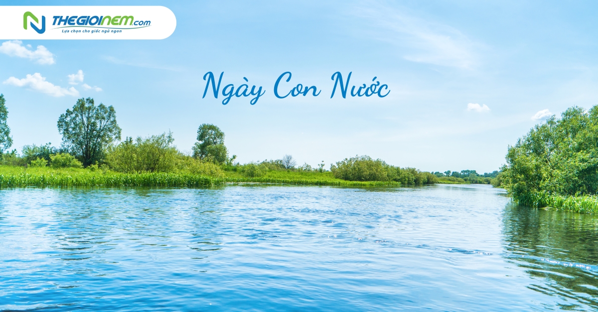 Ngày con nước là ngày gì?