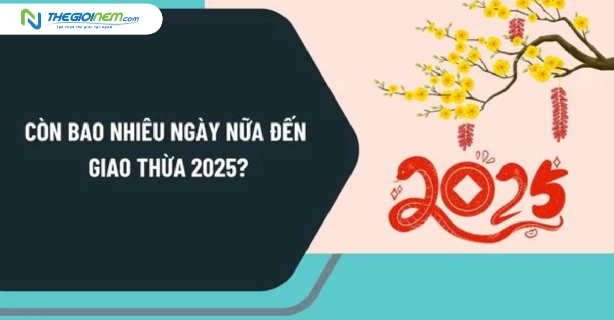 Bao nhiêu ngày nữa đến giao thừa năm 2025?