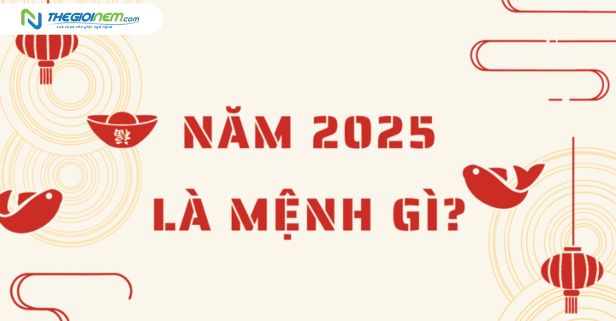 Sinh năm 2025 thuộc mệnh gì?