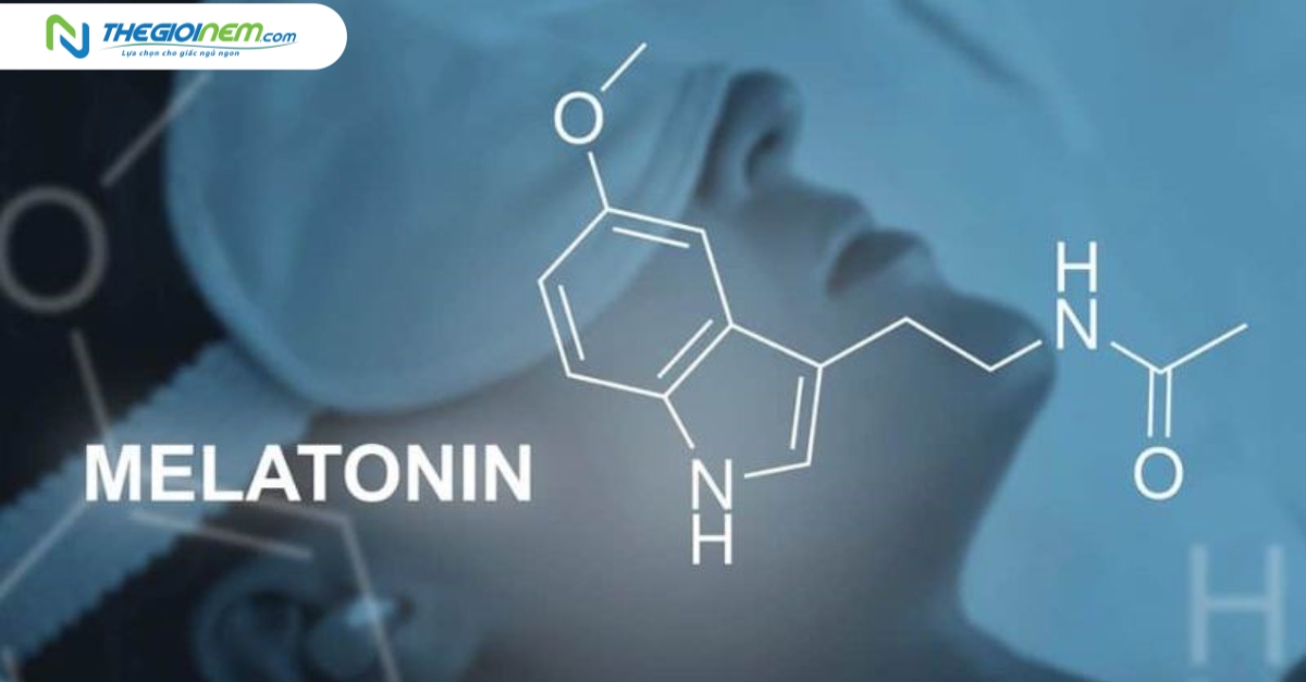 Melatonin và khả năng chống viêm nhiễm