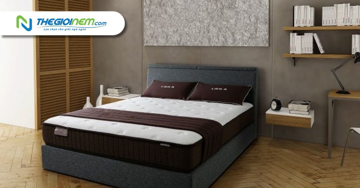 Mua Nệm Liên Á Trả Góp Tại Biên Hòa, Đồng Nai - Thế Giới Nệm