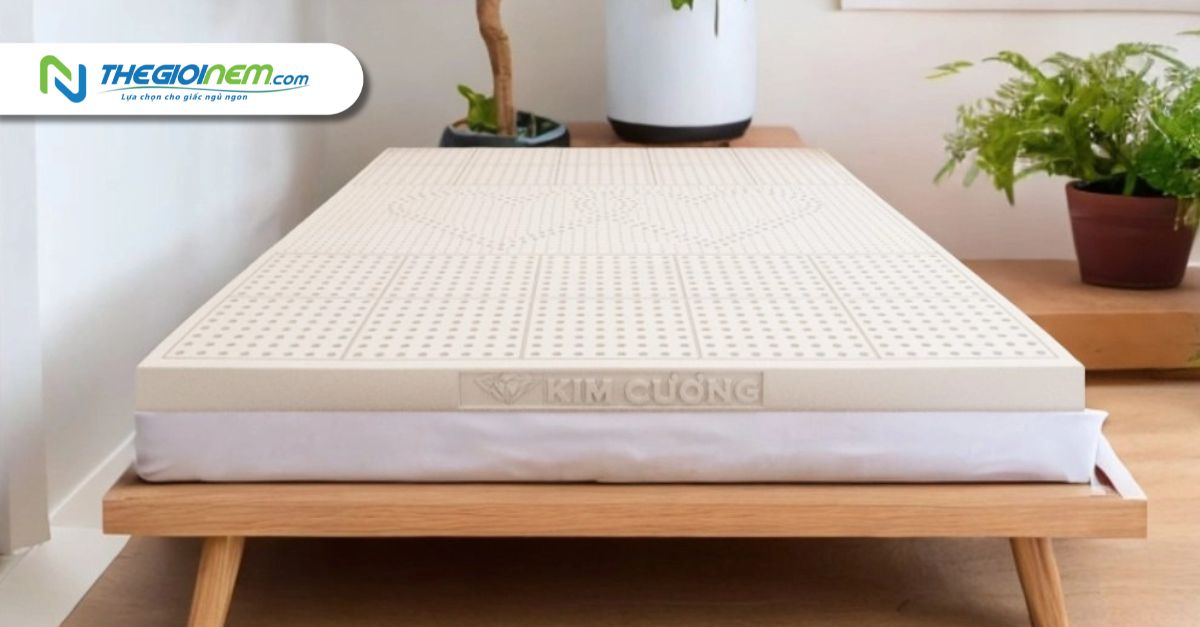 Mua Nệm Kim Cương Tại Quận 8