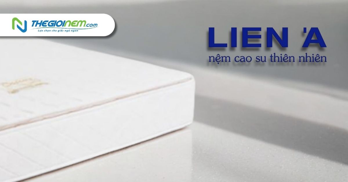 Cửa Hàng Nệm Liên Á Chính Hãng Giá Rẻ Tại Quận 8