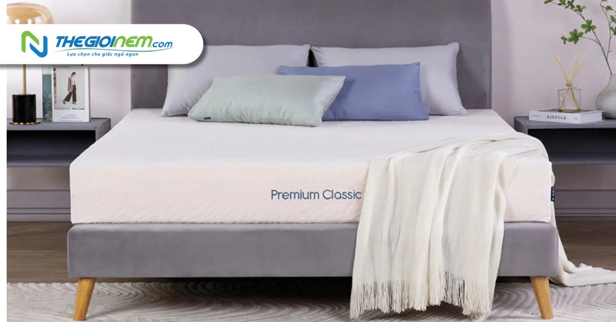 Cửa Hàng Nệm Liên Á Chính Hãng Giá Rẻ Tại Quận 8