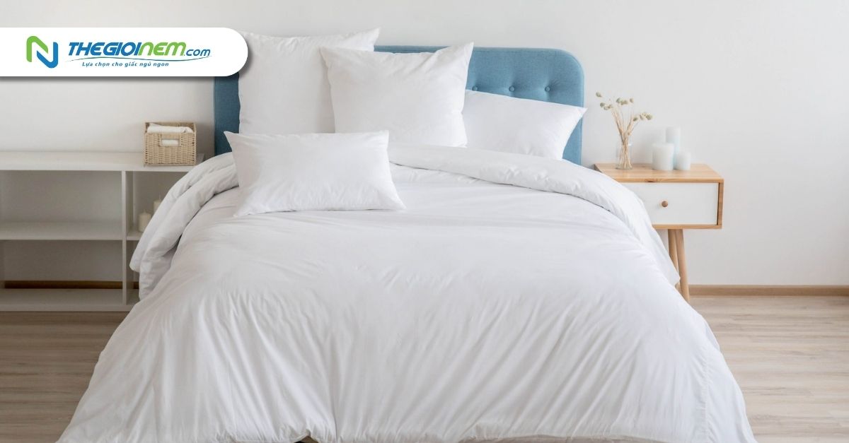 Mua nệm Liên Á trả góp tại quận 8 - Thế Giới Nệm
