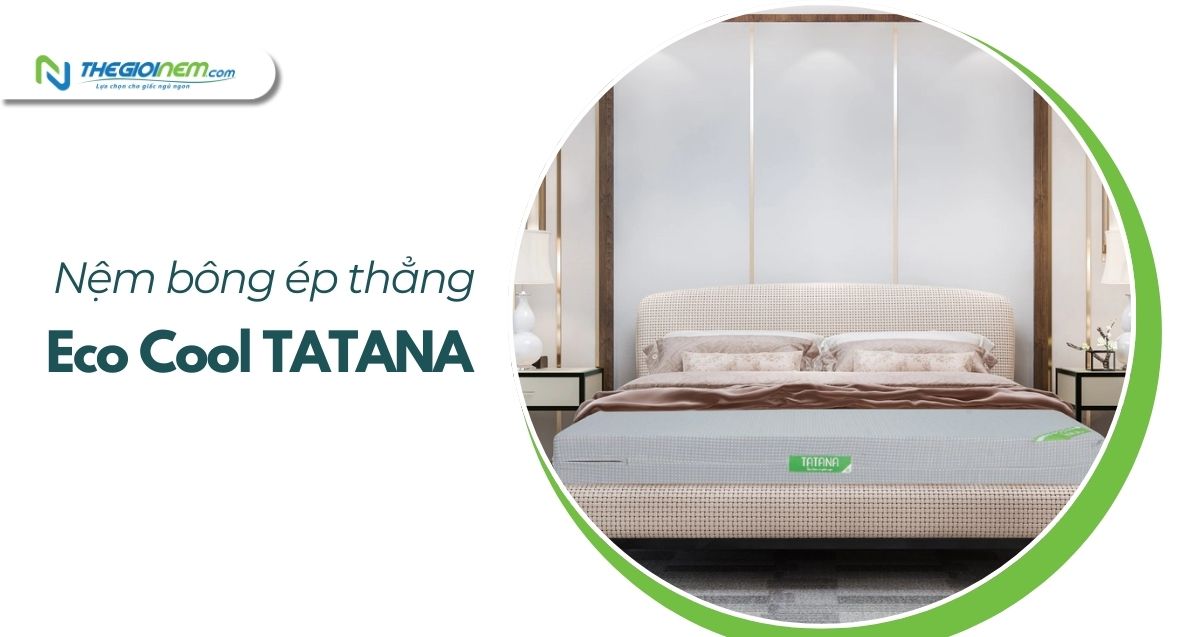 Cửa hàng bán nệm bông ép giá rẻ tại Quận 9