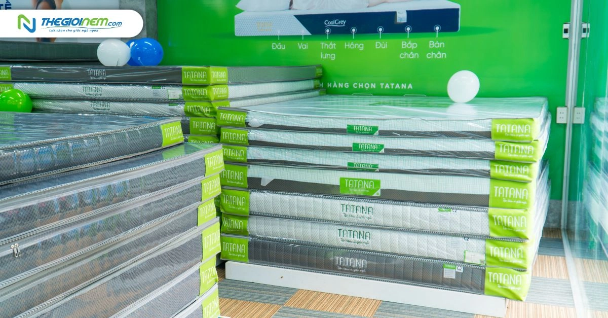 nem-foam-tatana-voi-du-loai-tai-cua-hang-the-gioi-nem-H4ULMW.webp