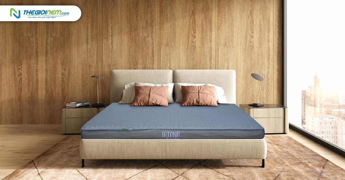 Nệm foam TATANA Massage Relax giá rẻ