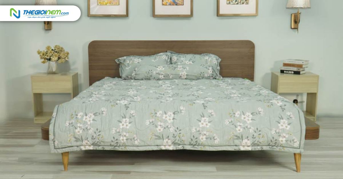 Bộ ga Tencel Silver TATANA
