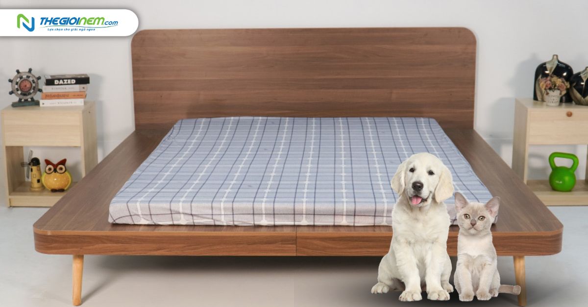 Ga chống thấm bảo vệ nệm khỏi thú cưng