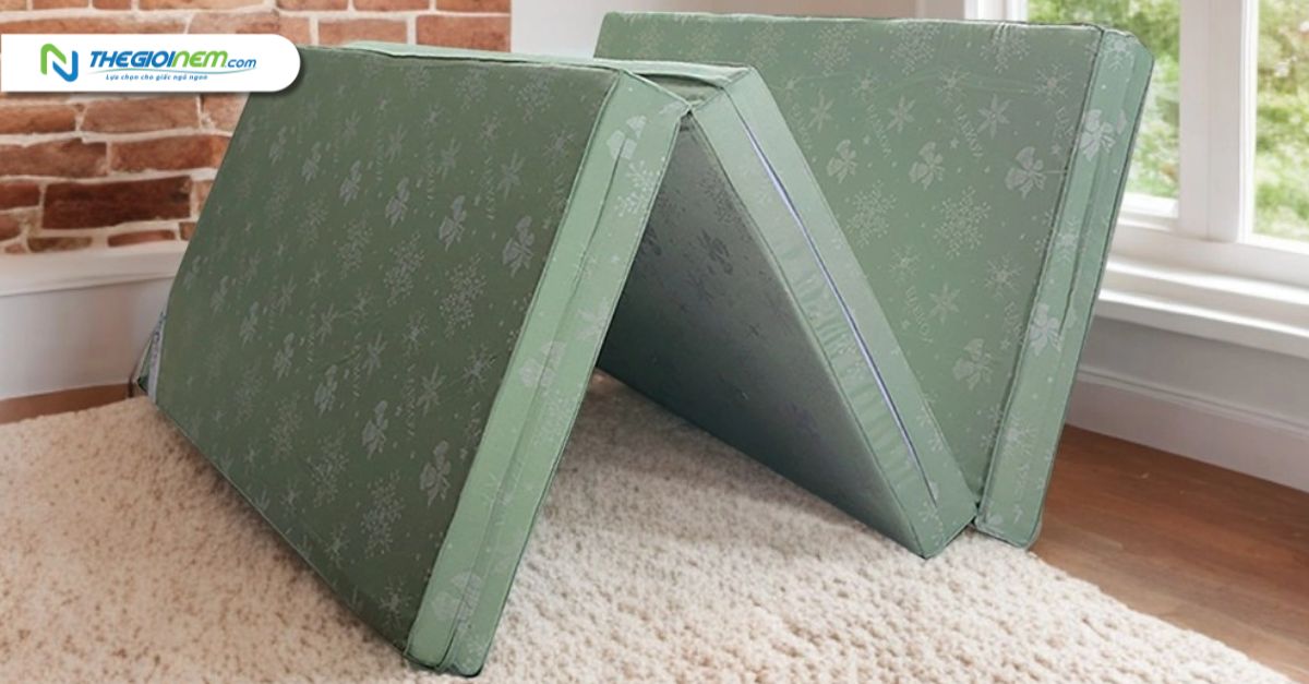 Nệm bông ép Everon Padding