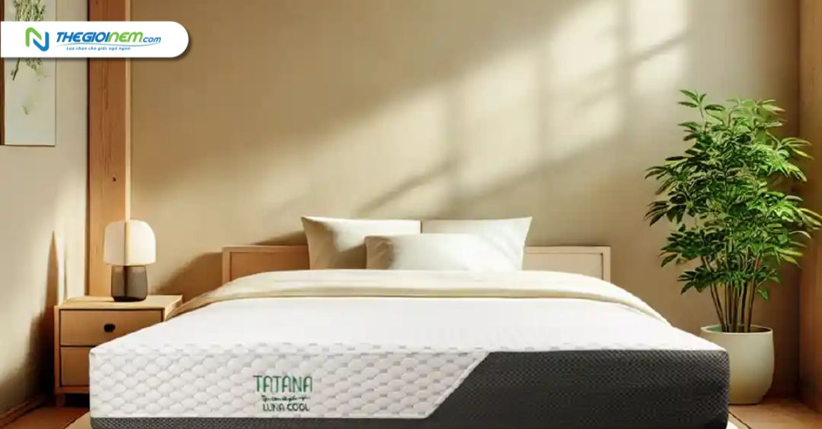 Nệm Foam Tatana Luna Cool