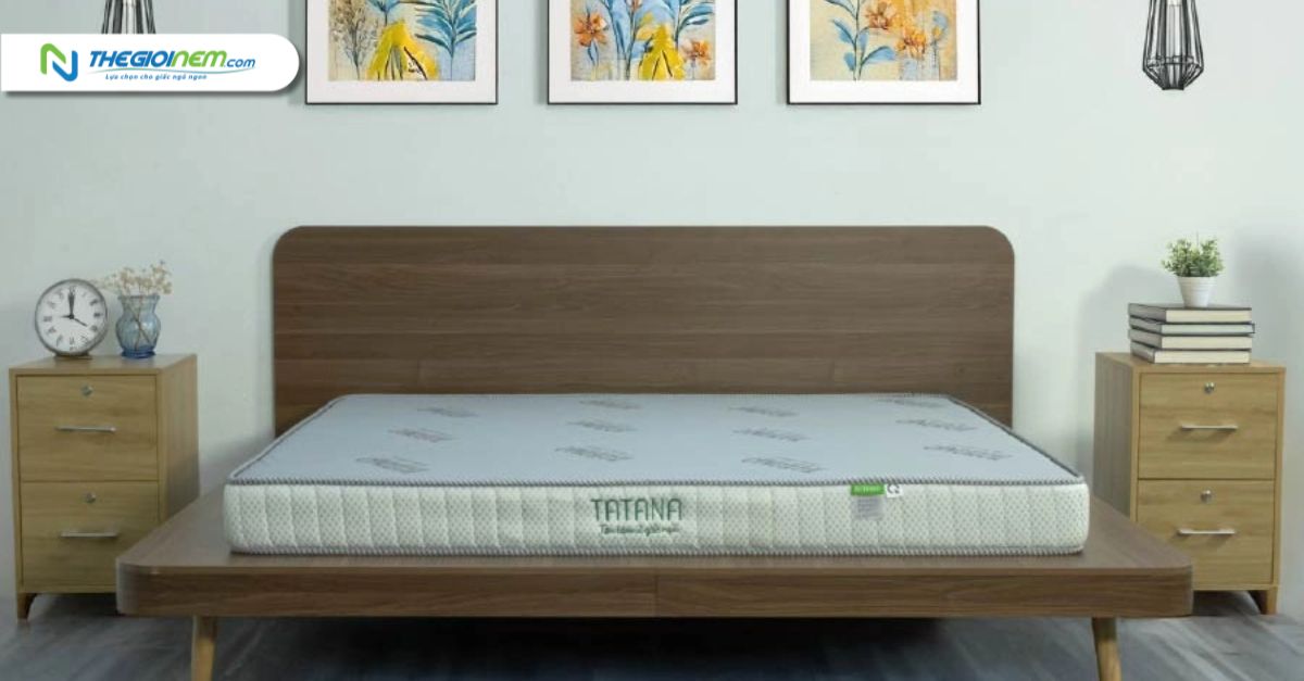 Nệm ép dẻo Tatana