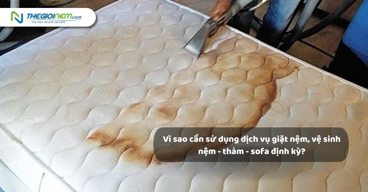 Giải Đáp Thắc Mắc Của Khách Hàng Về Dịch Vụ Vệ Sinh Nệm, Thảm, Sofa