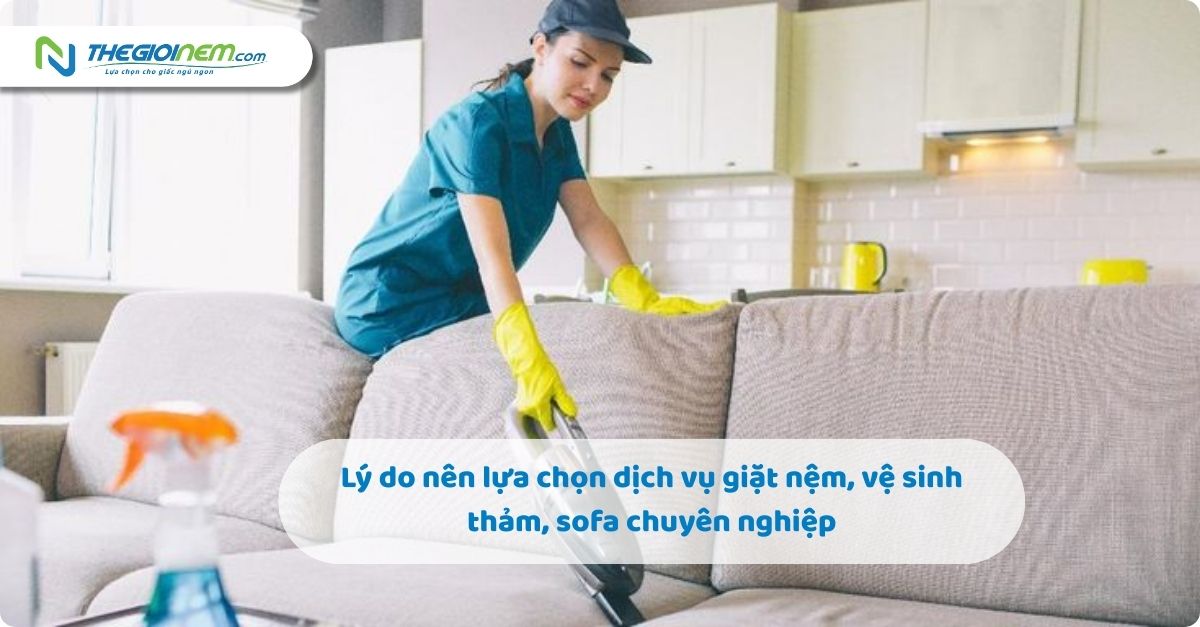 Giải Đáp Thắc Mắc Của Khách Hàng Về Dịch Vụ Vệ Sinh Nệm, Thảm, Sofa