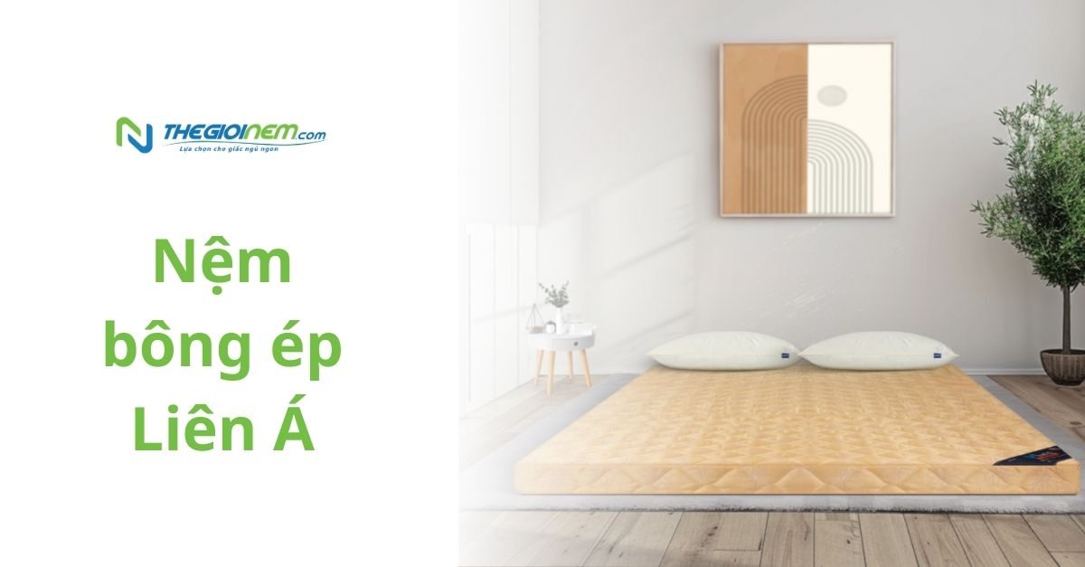 Nệm bông ép Liên Á bảo vệ cột sống lưng tối ưu