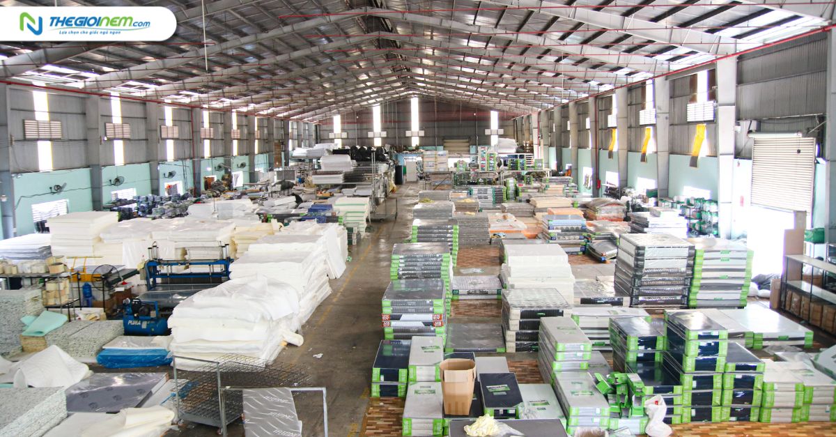 Xưởng sản xuất nệm TATANA đạt chuẩn chất lượng