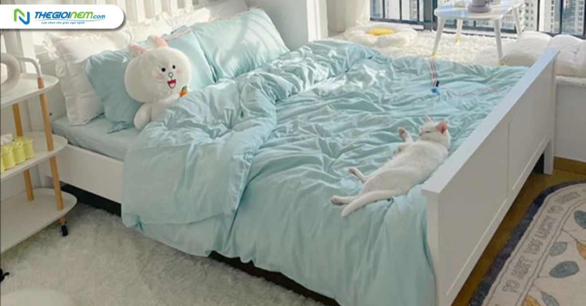 Kết hợp với phụ kiện phù hợp để tạo sự đồng bộ