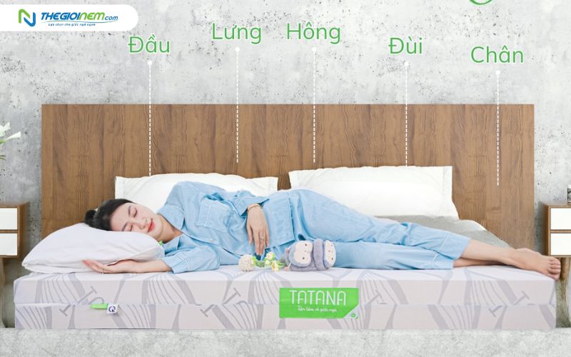 Nệm cao su TATANA Standard cho người nằm nghiêng