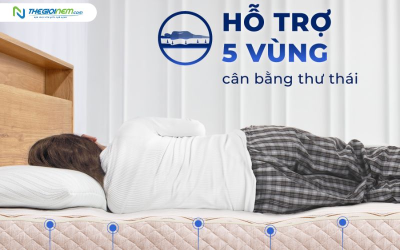 Nệm cao su thiên nhiên hỗ trợ cột sống cho dân văn phòng