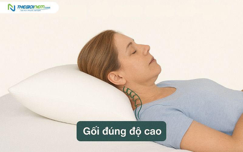 Gối đúng độ cao giữ cột sống cổ thẳng