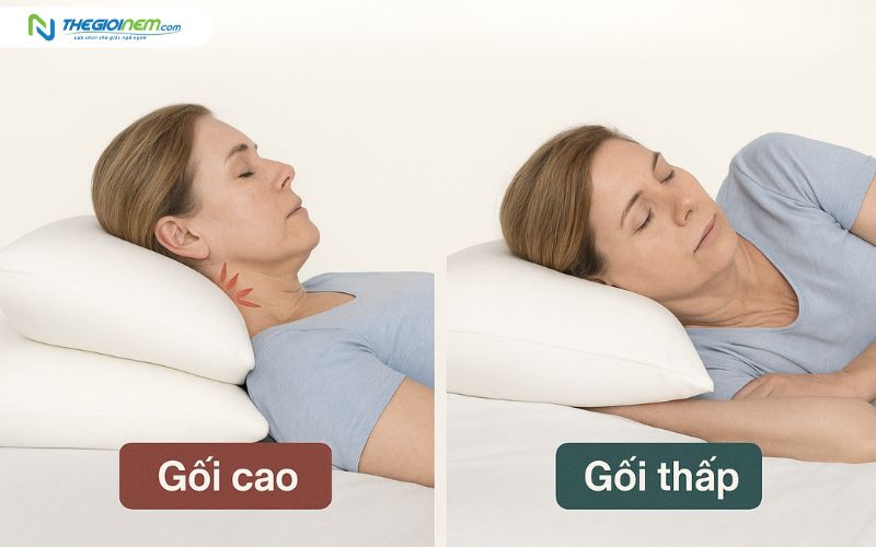 Nằm gối cao hay thấp tốt cho cổ - gáy?