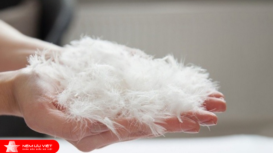 Lông vũ công nghiệp (sợi Microfiber)