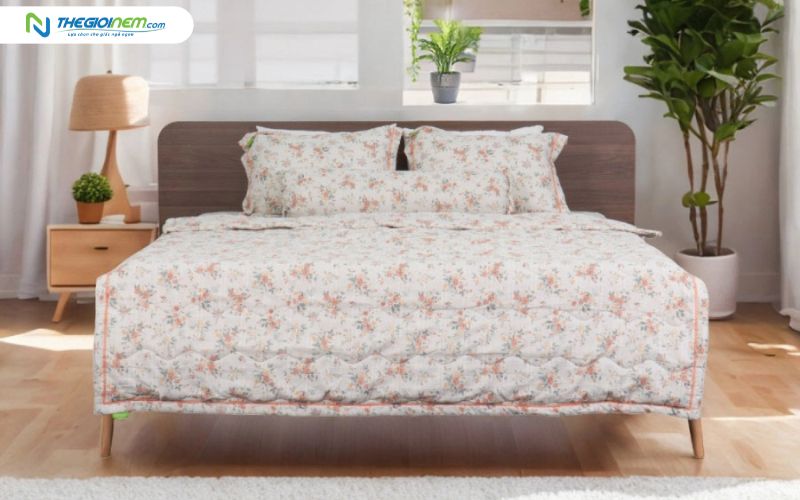 Mẫu ga cotton đũi TATANA CD19