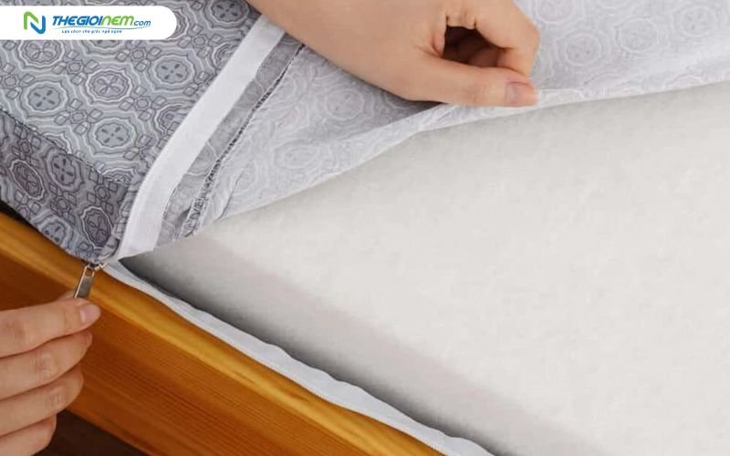 Nệm bông ép cứng cáp