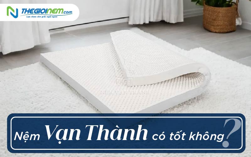 Đại lý nệm Vạn Thành chính hãng tại Tân Phú TPHCM
