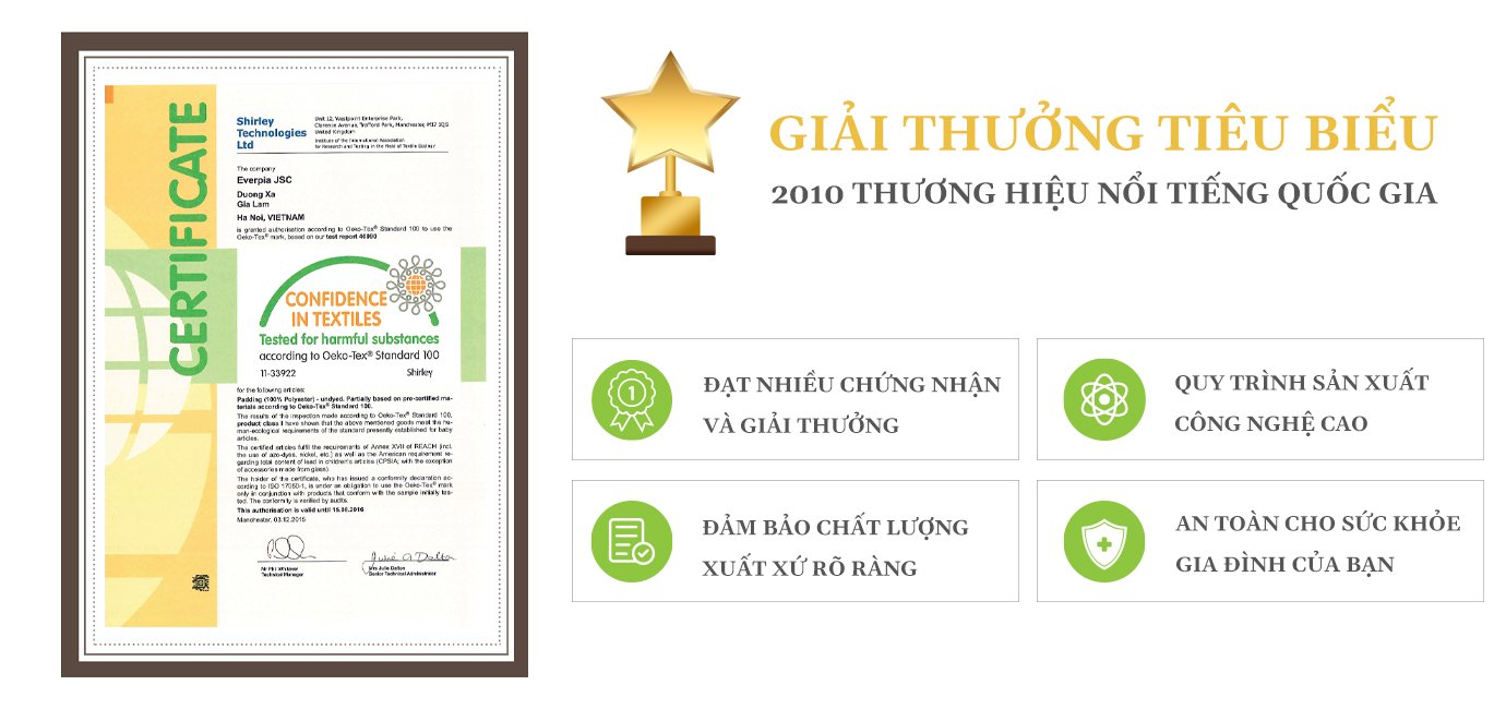 Ruột gối Everon Classic (Mỏng)