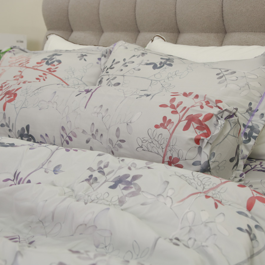 Cận chất bộ ga PL80