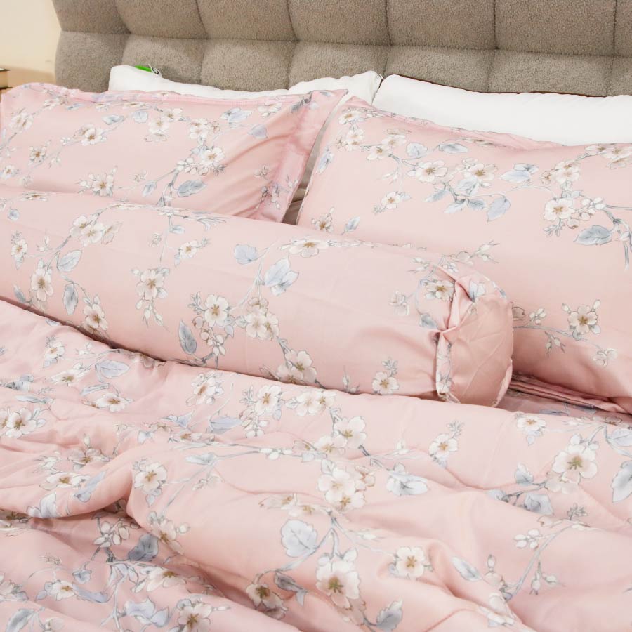 Cận chất bộ ga PL85