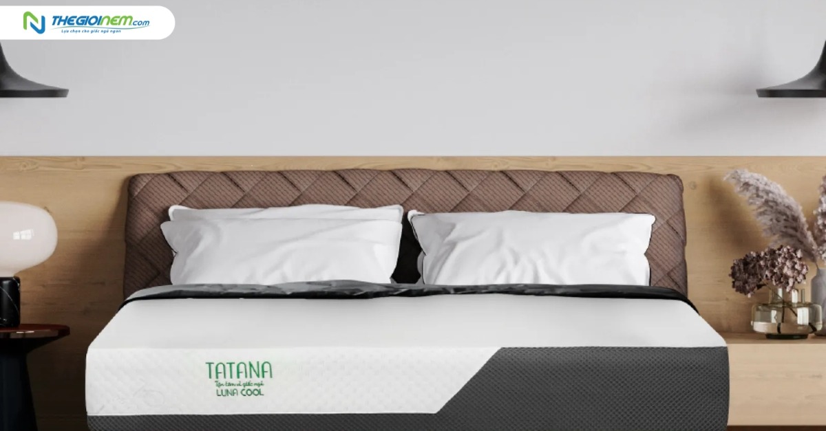 Bốn tiêu chí cho một tấm nệm hoàn hảo Thoải mái