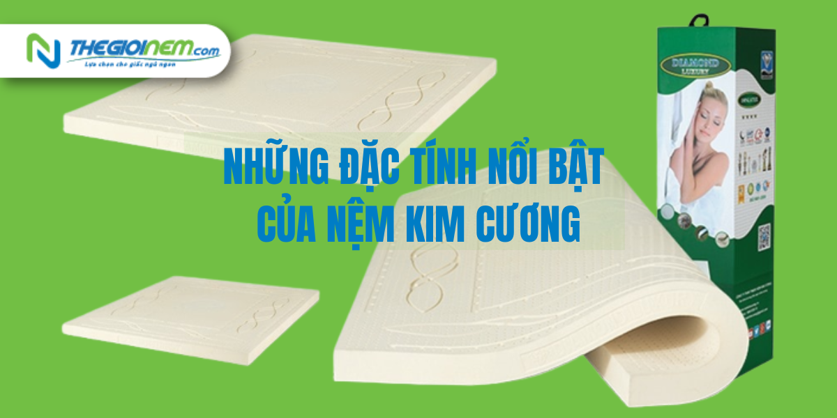 Mua nệm Kim Cương giá rẻ Cần Thơ - Theigioinem.com