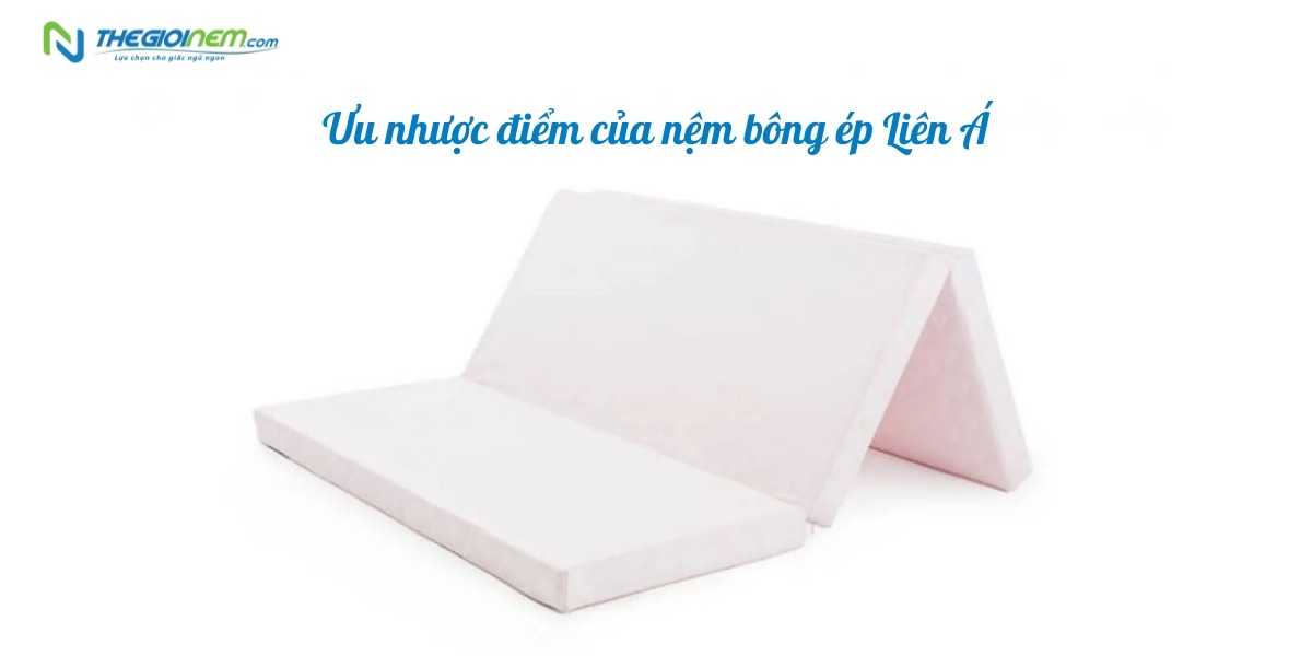 Mua Nệm Liên Á Giá Rẻ Ở Đâu?