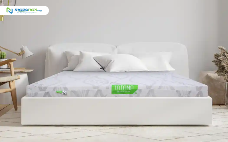 Đặc điểm nổi bật của nệm cao su mát