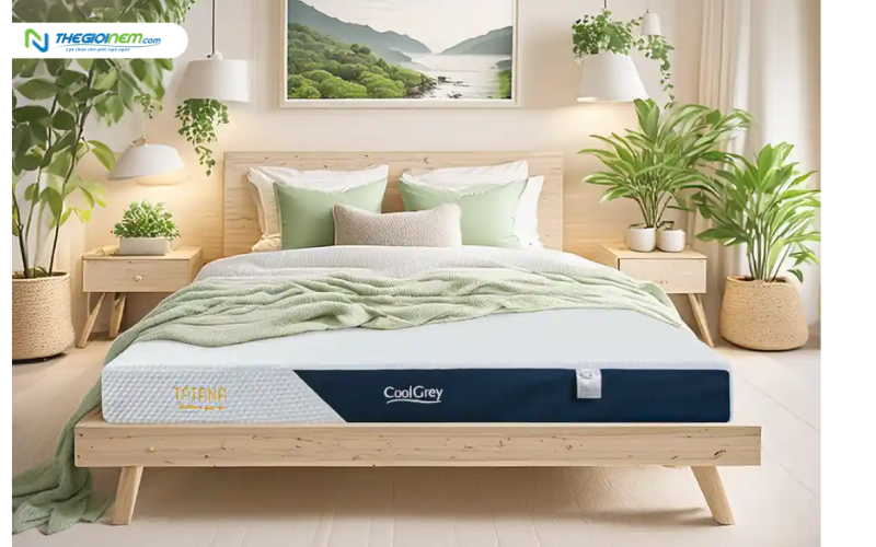 Nệm cao su thiên nhiên TATANA Cool Grey
