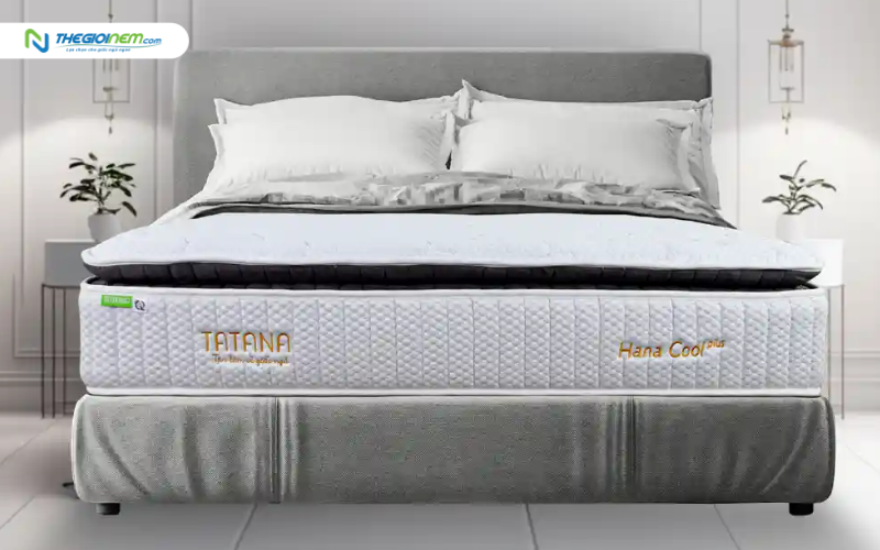 Nệm lò xo TATANA Hana Cool Plus