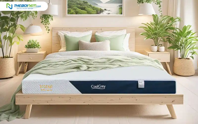 Nệm cao su TATANA có mức giá hợp lý