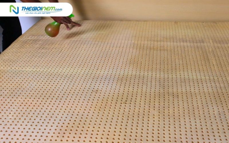 Vệ sinh nệm định kỳ để đảm bảo vệ sinh