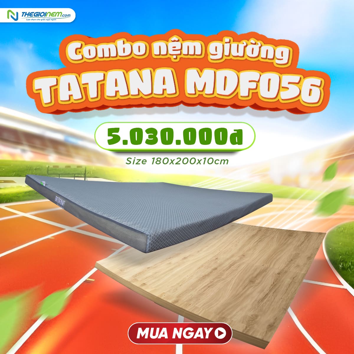 Combo nệm giường 056