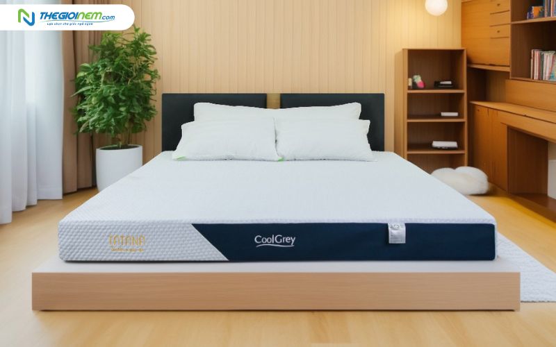 Nệm cao su thiên nhiên than hoạt tính TATANA Cool Grey