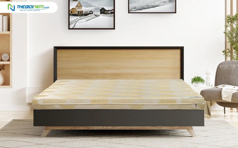 Nệm bông ép Everon Padding với vỏ vải gấm cao cấp