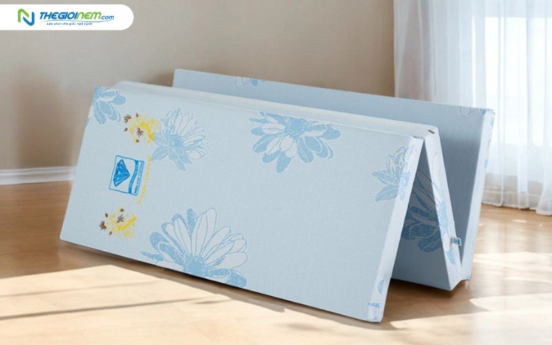 Nệm bông ép Kim Cương Acness